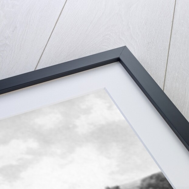 Haymaking by Sprague & Co