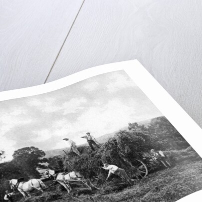 Haymaking by Sprague & Co