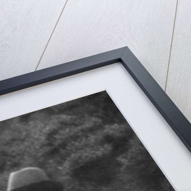 In the spring and playtime of the year by JA Southwart