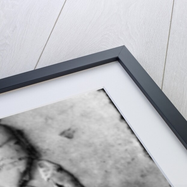 Relief of Athena/Minerva, 5th century BC by Martin Hurlimann