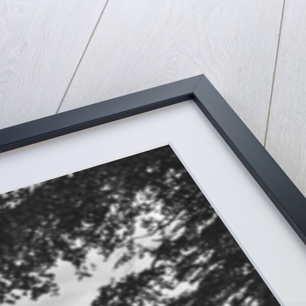 Palace Het Loo, Apeldoorn, Netherlands by Anonymous