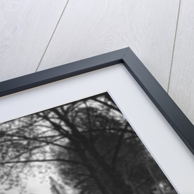 L'ile de la Cite, Paris by Martin Hurlimann