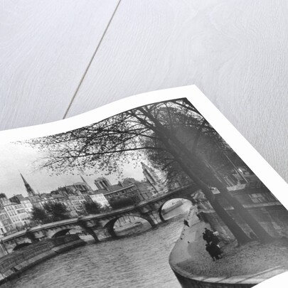 L'ile de la Cite, Paris by Martin Hurlimann