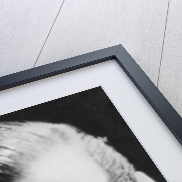 Robert Montgomery by Anonymous