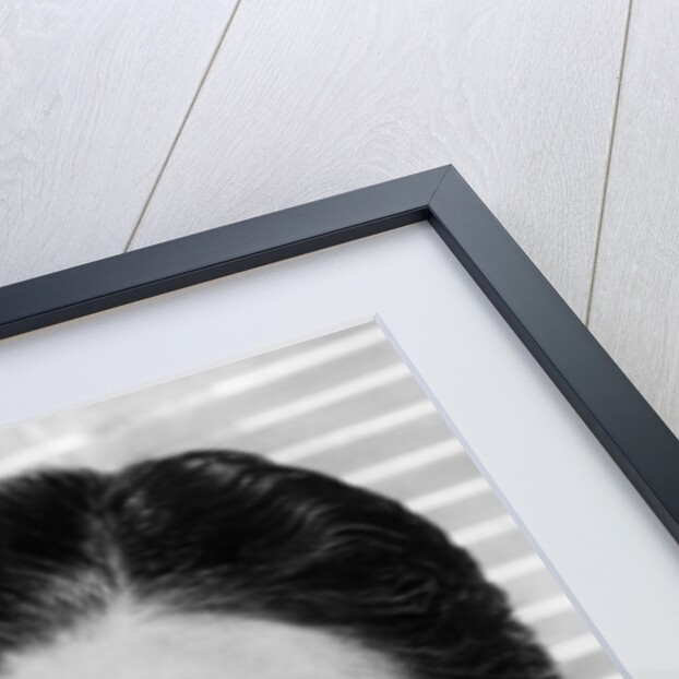 Ronald Colman by Anonymous