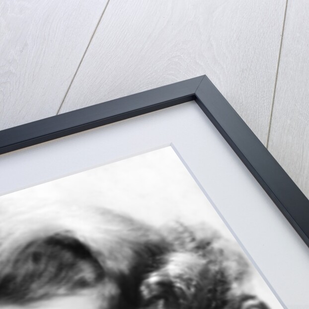 Jeanette MacDonald by Anonymous