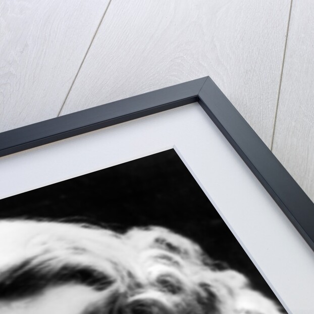 Joan Fontaine by Anonymous