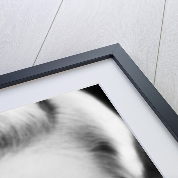 Jean Arthur by Anonymous