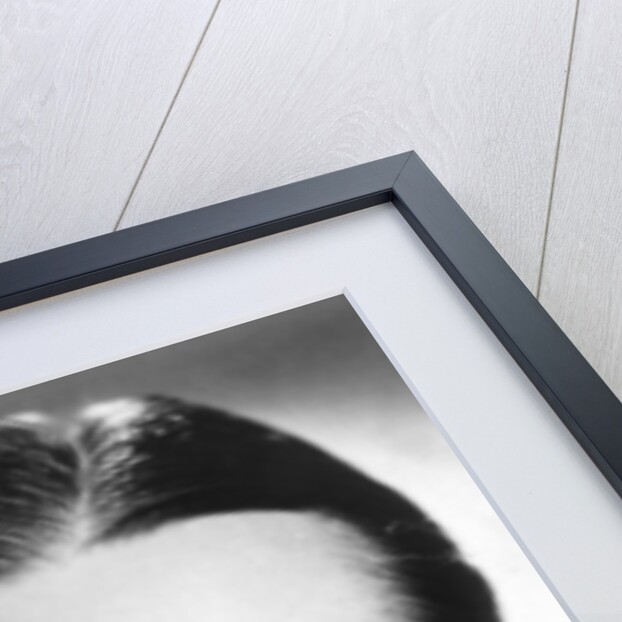 Edmund Lowe by Anonymous