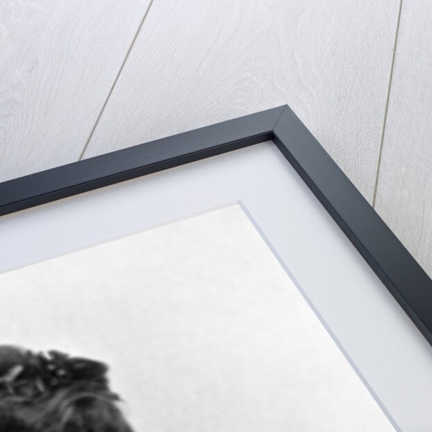 Irene Warren by Alfred Ellis & Walery