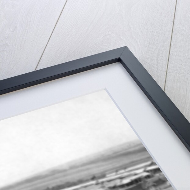 The Royal Show, Newcastle upon Tyne by George Frank