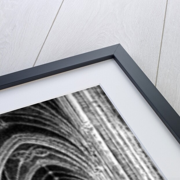 Interior of Bristol Cathedral by W Gilliard