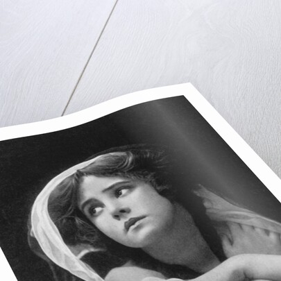 Gertie Murray by Pawson