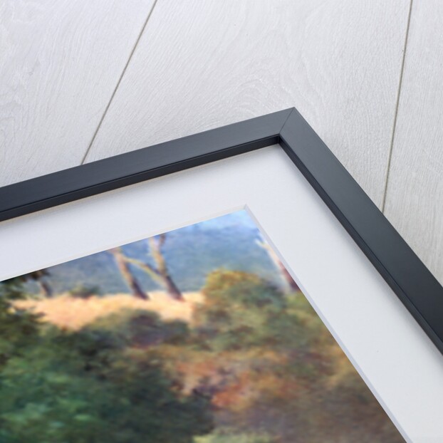 The Prospector by Jan Hendrik Scheltema