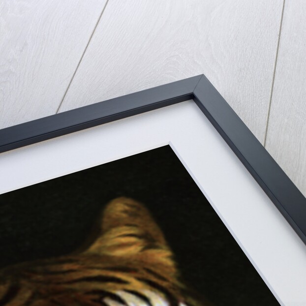 Tiger study by Anonymous