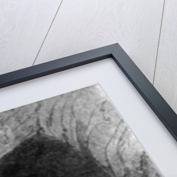 The crypt of St Cecilia, the Catacombs, Rome, Italy by ANDERSON