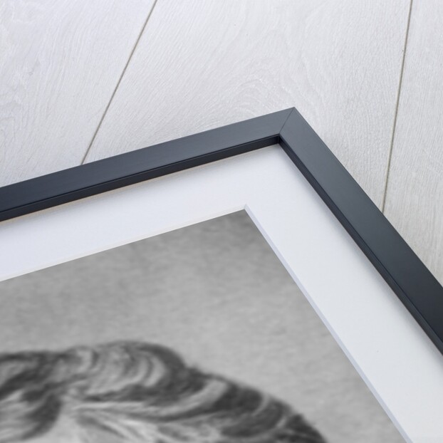 James Monroe (1758-1831), fifth President of the United States by Anonymous