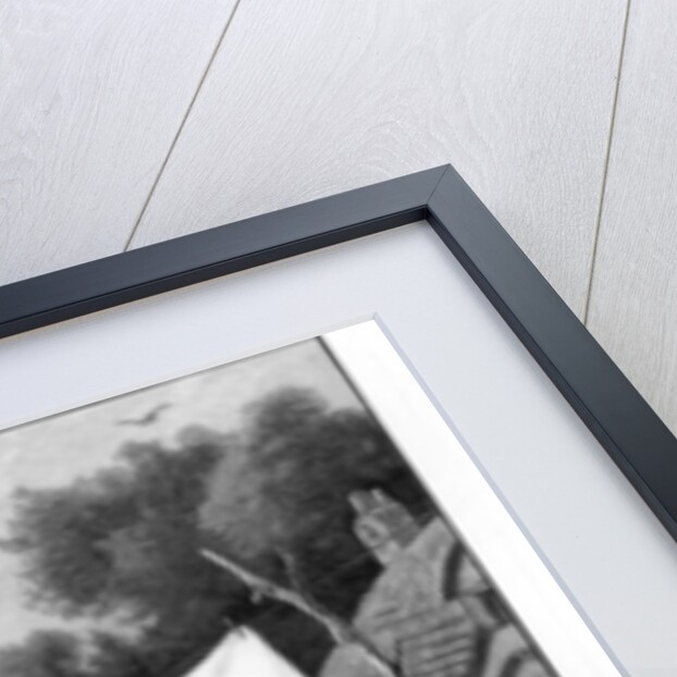 Advertisement for 'Sunlight Soap' by Anonymous