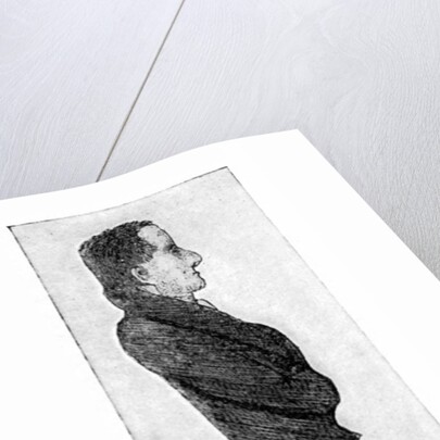 The Gentle Elia by Rischgitz Collection