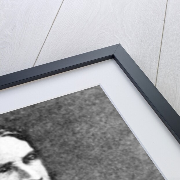 Matthew Arnold, Poet and Critic by Anonymous