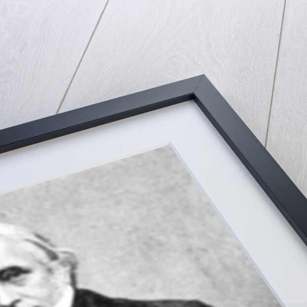 'Lord Macaulay', famous historian & essayist by Rischgitz Collection