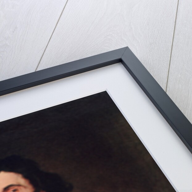 A Senator of Antwerp by Anthony van Dyck