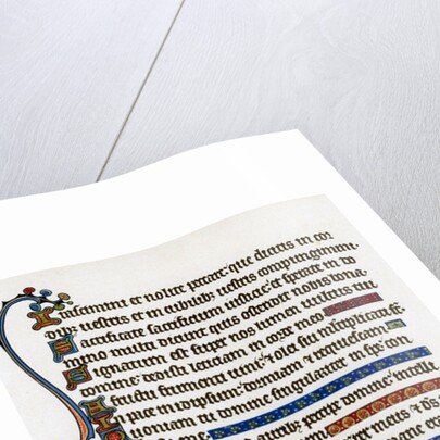 Page of decorated text by Anonymous