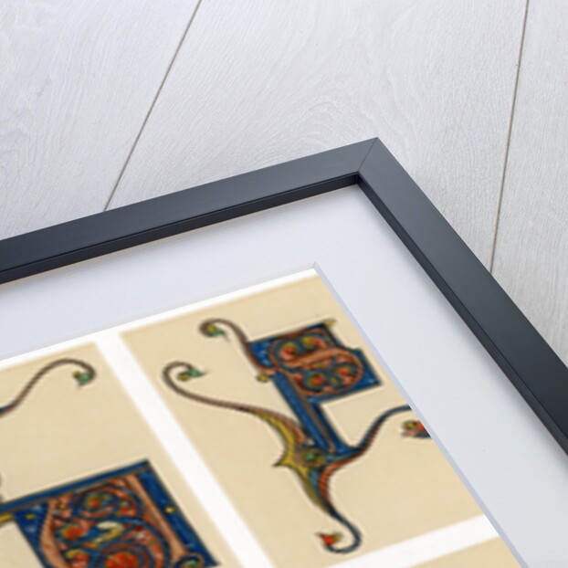 Illuminated initial letters by Anonymous