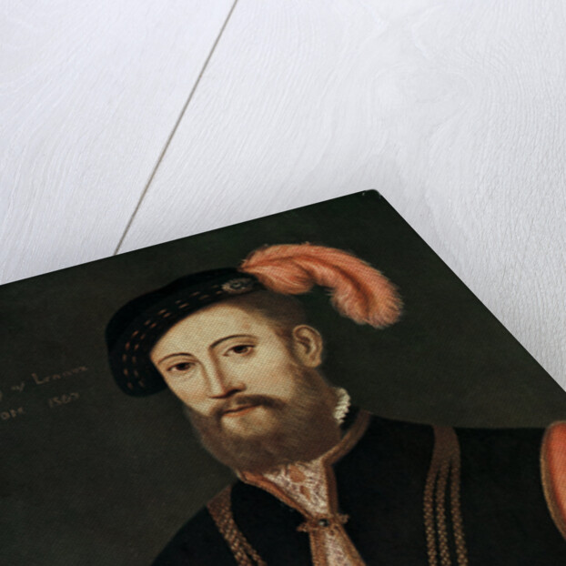 Lord Darnley by Anonymous