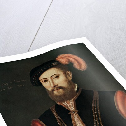 Lord Darnley by Anonymous