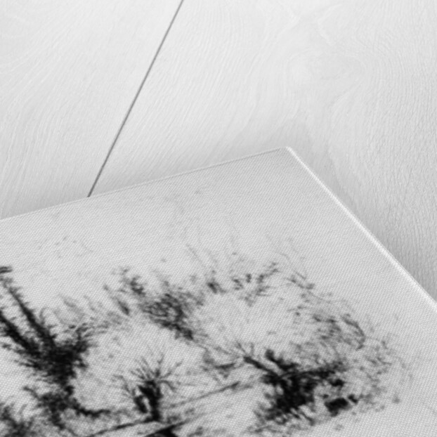 Saulaie des Environs de Paris by Paul Huet