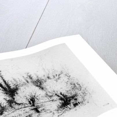 Saulaie des Environs de Paris by Paul Huet