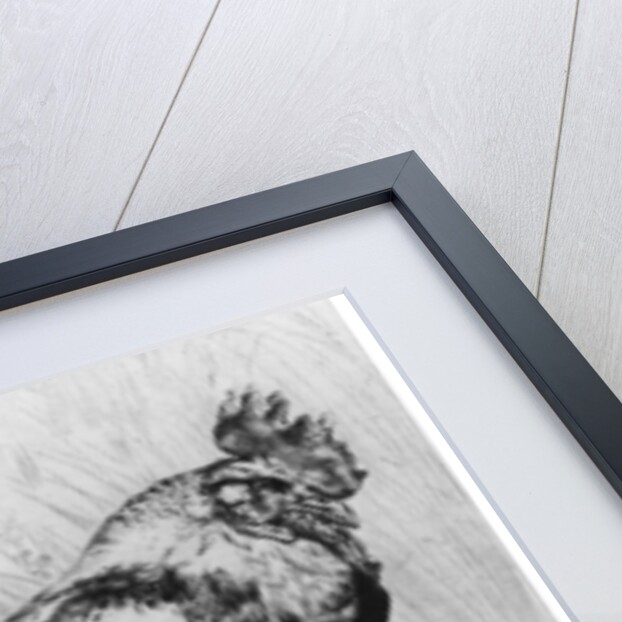 La Coq by Felix Bracquemond