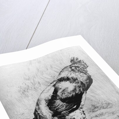 La Coq by Felix Bracquemond
