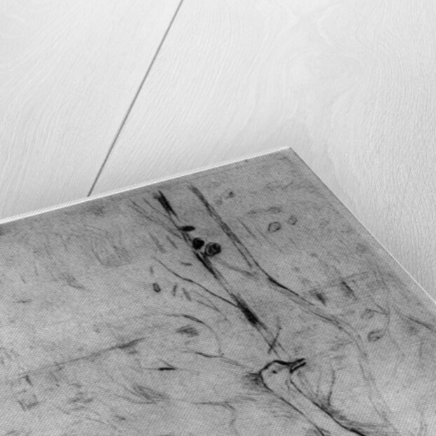 'Les Oies', (The Geese) by Berthe Morisot