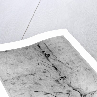 'Les Oies', (The Geese) by Berthe Morisot