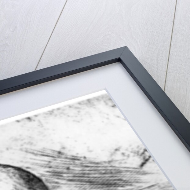 L'Espiegle by Armand Berton