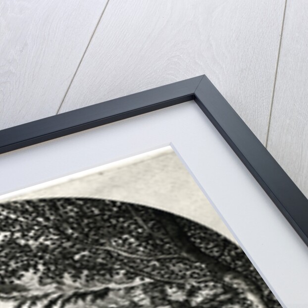 Martydom of St Peter Martyr by Martino Rota