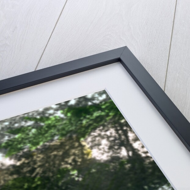 The Ouse at Bedford by Cavenders Ltd