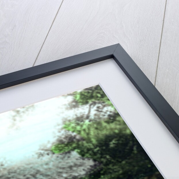 Ruswarp Dam, Whitby, North Yorkshire by Cavenders Ltd