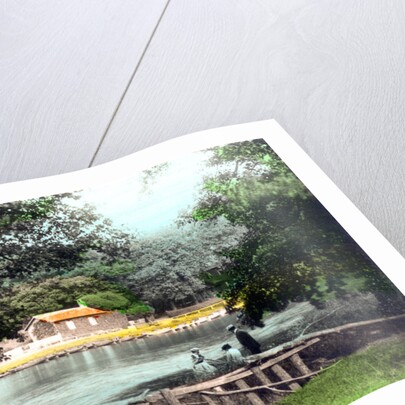 Ruswarp Dam, Whitby, North Yorkshire by Cavenders Ltd