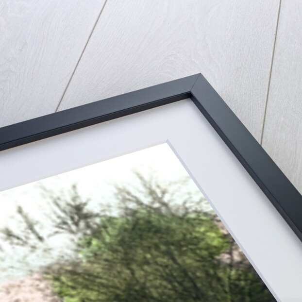 The River Gipping, Ipswich by Cavenders Ltd