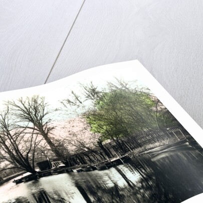 The River Gipping, Ipswich by Cavenders Ltd