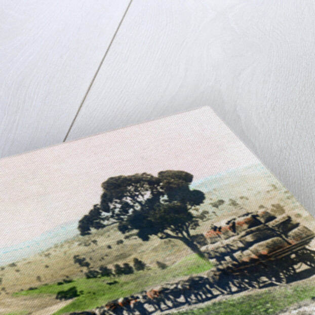 A wool team, Australia by Cavenders Ltd