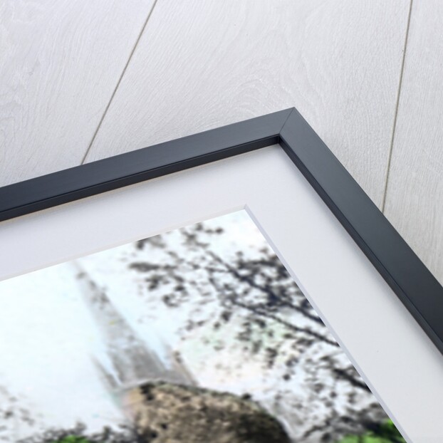 Pull's Ferry, Norwich, Norfolk by Cavenders Ltd