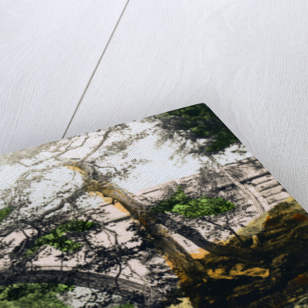 The Linn of Dee, Braemar, Aberdeenshire by Cavenders Ltd