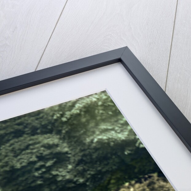 The River Ouse at Ely, Cambridgeshire by Cavenders Ltd