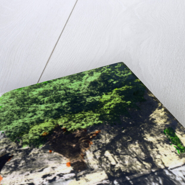 Roman bridge at Bettws-y-Coed, Gwynedd by Cavenders Ltd