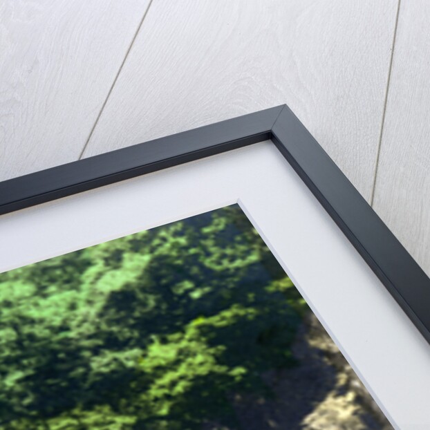 Roman bridge at Bettws-y-Coed, Gwynedd by Cavenders Ltd