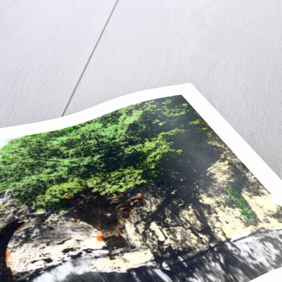 Roman bridge at Bettws-y-Coed, Gwynedd by Cavenders Ltd